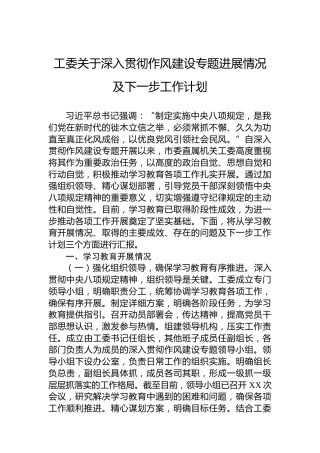 工委关于深入贯彻作风建设专题进展情况及下一步工作计划