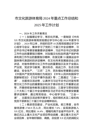 市文化旅游体育局2024年重点工作总结和2025年工作计划