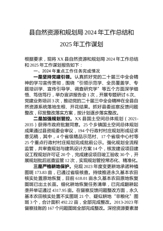 县自然资源和规划局2024年工作总结和2025年工作谋划