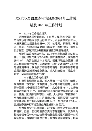 XX市XX县生态环境分局2024年工作总结及2025年工作计划