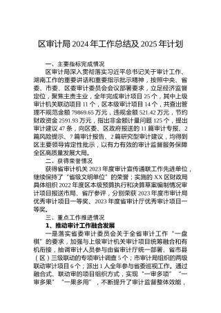 区审计局2024年工作总结及2025年计划