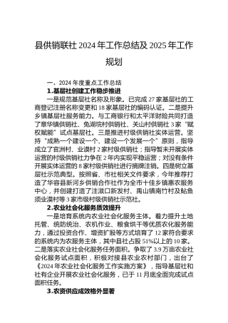 县供销联社2024年工作总结及2025年工作规划