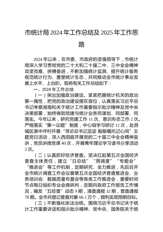 市统计局2024年工作总结及2025年工作思路