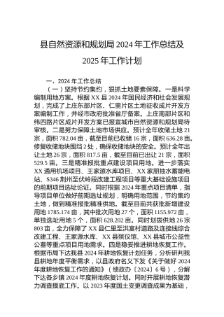 县自然资源和规划局2024年工作总结及2025年工作计划