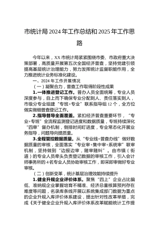市统计局2024年工作总结和2025年工作思路