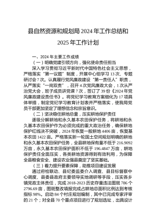 县自然资源和规划局2024年工作总结和2025年工作计划