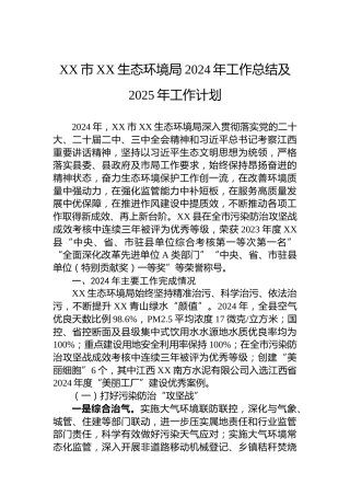 XX市XX生态环境局2024年工作总结及2025年工作计划