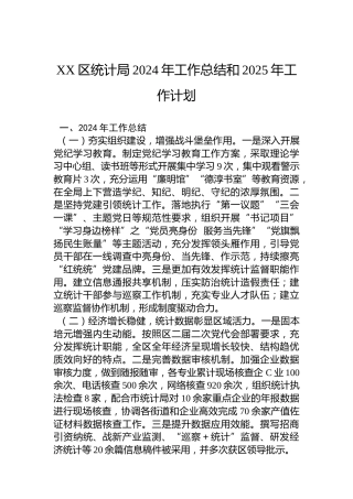 XX区统计局2024年工作总结和2025年工作计划