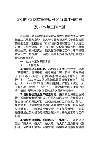 XX市XX区应急管理局2024年工作总结及2025年工作计划
