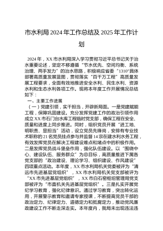 市水利局2024年工作总结及2025年工作计划