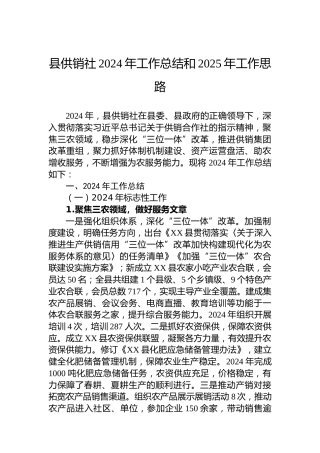 县供销社2024年工作总结和2025年工作思路