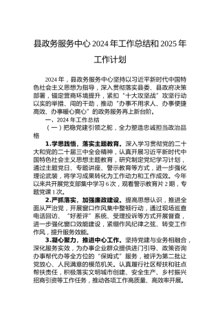 县政务服务中心2024年工作总结和2025年工作计划