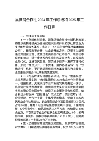 县供销合作社2024年工作总结和2025年工作打算