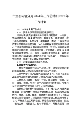 市生态环境分局2024年工作总结和2025年工作计划
