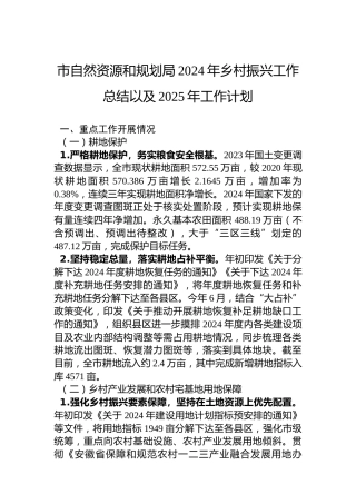市自然资源和规划局2024年乡村振兴工作总结以及2025年工作计划