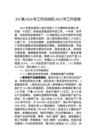 XX镇2024年工作总结和2025年工作安排