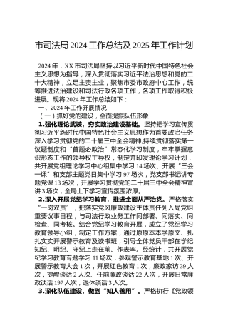 市司法局2024工作总结及2025年工作计划