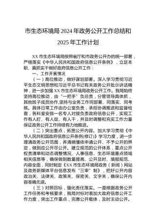 市生态环境局2024年政务公开工作总结和2025年工作计划