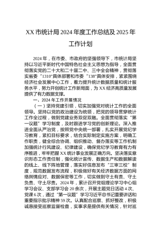 XX市统计局2024年度工作总结及2025年工作计划