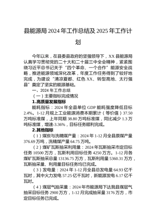 县能源局2024年工作总结及2025年工作计划