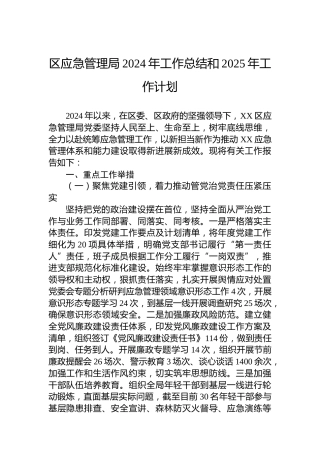 区应急管理局2024年工作总结和2025年工作计划