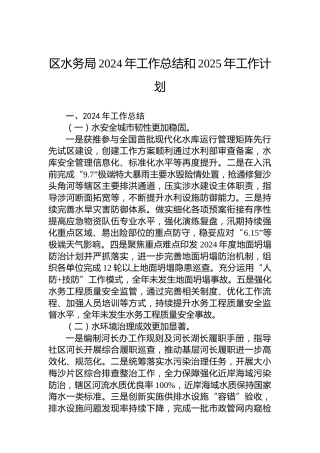 区水务局2024年工作总结和2025年工作计划