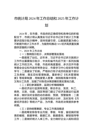 市统计局2024年工作总结和2025年工作计划