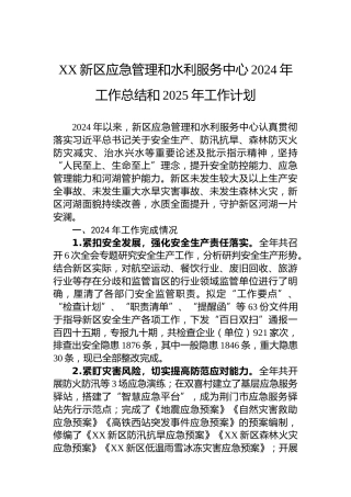 XX新区应急管理和水利服务中心2024年工作总结和2025年工作计划