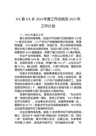 XX县XX乡2024年度工作总结及2025年工作计划