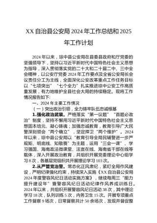 XX自治县公安局2024年工作总结和2025年工作计划