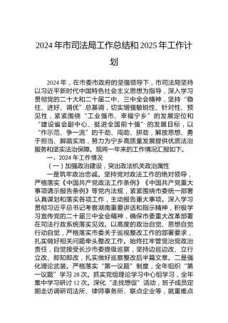 2024年市司法局工作总结和2025年工作计划