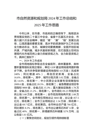 市自然资源和规划局2024年工作总结和2025年工作思路