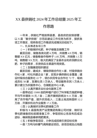 XX县供销社2024年工作总结暨2025年工作思路