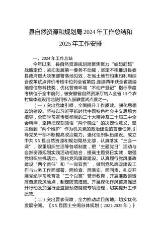 县自然资源和规划局2024年工作总结和2025年工作安排