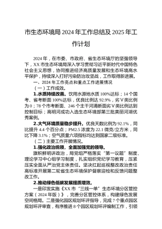 市生态环境局2024年工作总结及2025年工作计划
