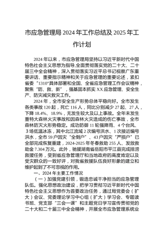 市应急管理局2024年工作总结及2025年工作计划