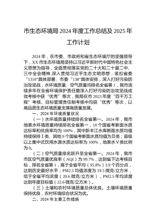 市生态环境局2024年度工作总结及2025年工作计划
