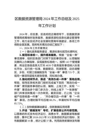 区数据资源管理局2024年工作总结及2025年工作计划