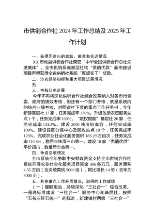 市供销合作社2024年工作总结及2025年工作计划