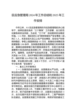区应急管理局2024年工作总结和2025年工作安排