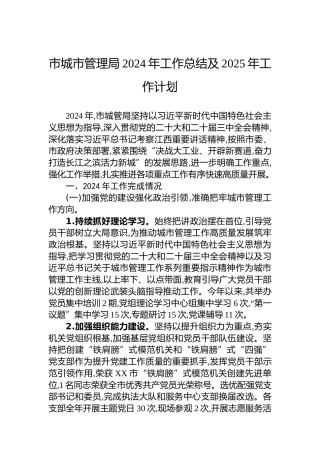 市城市管理局2024年工作总结及2025年工作计划