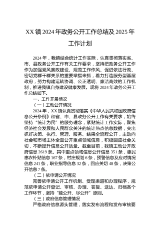 XX镇2024年政务公开工作总结及2025年工作计划