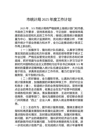 市统计局2025年度工作计划