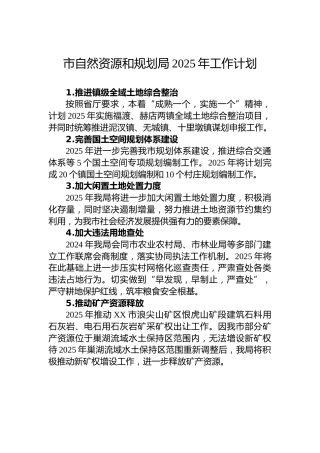 市自然资源和规划局2025年工作计划