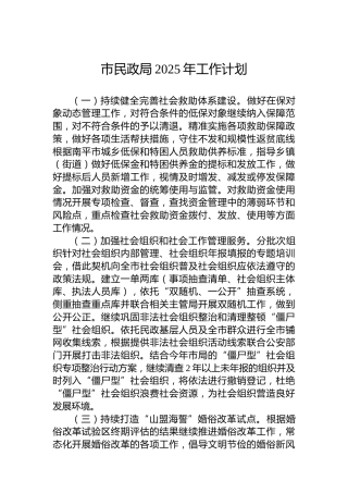 市民政局2025年工作计划
