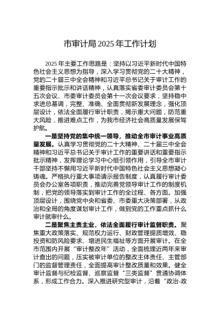 市审计局2025年工作计划