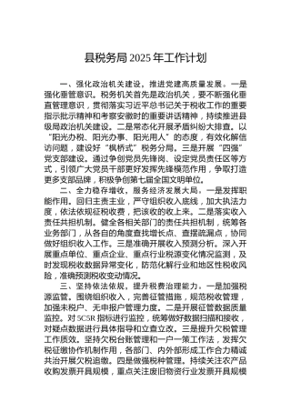 县税务局2025年工作计划