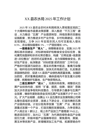 XX县农水局2025年工作计划