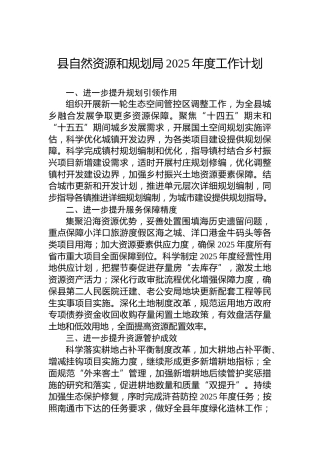 县自然资源和规划局2025年度工作计划