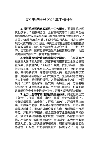 XX市统计局2025年工作计划